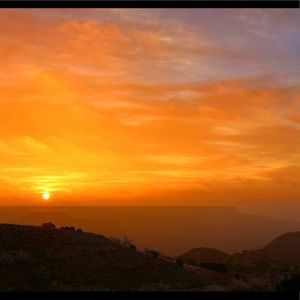 Meet your Posher, Cooper